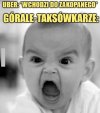 Dutki się nie zgadzają