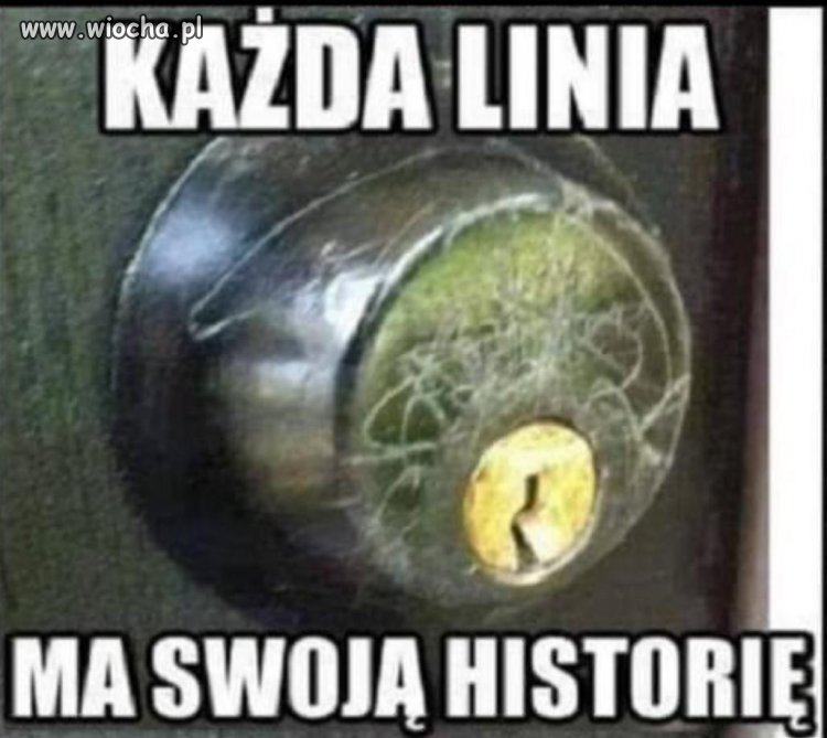 Każda, ale to każda ryska 
