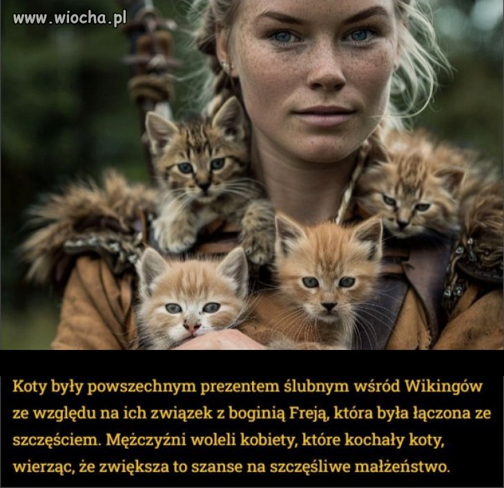 Kochajcie kobiety, które kochają koty...