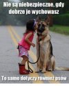 Pieski są wierniejsze