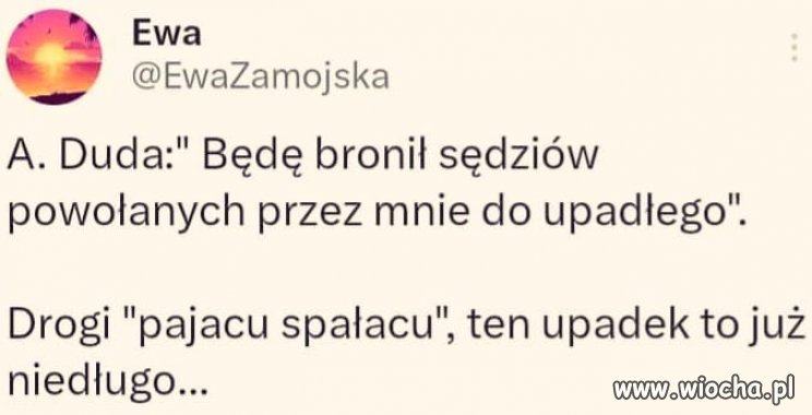 Czym ich będziesz bronił debilu ?