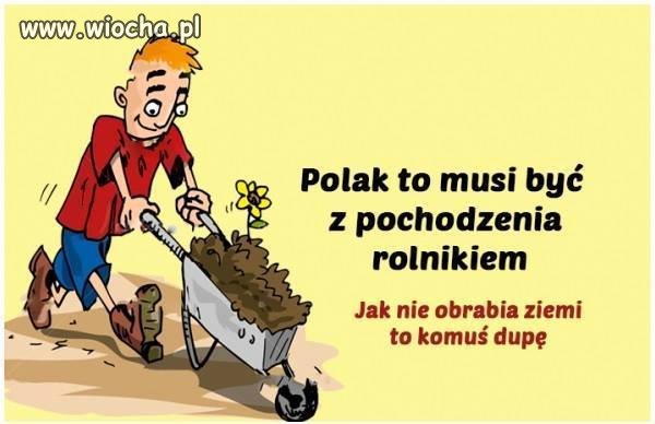 Polak.