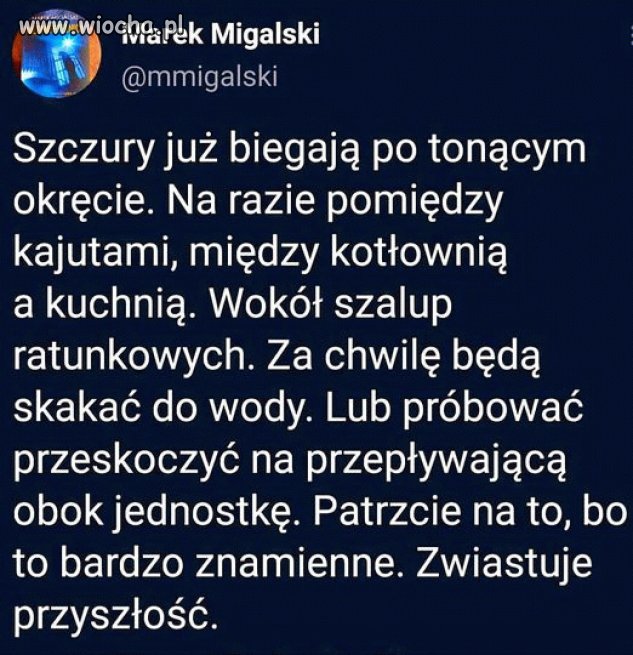 Srają pod siebie