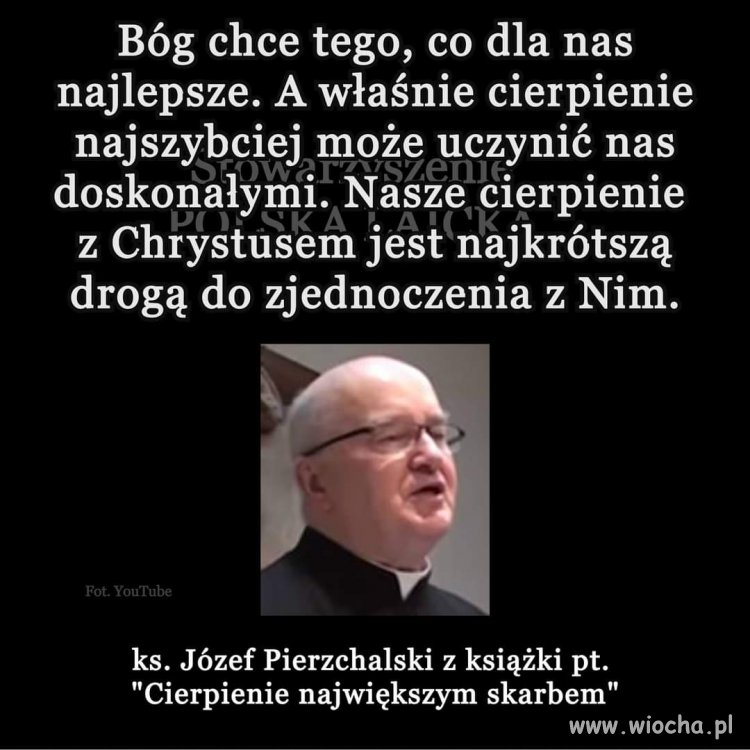 Nie cierpiałem bo po co