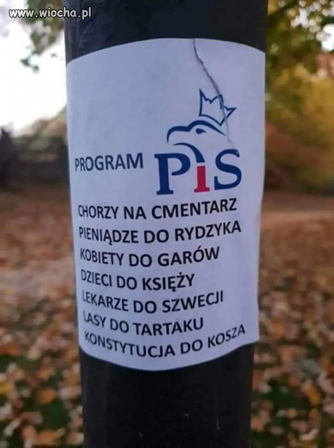 W skrócie