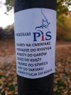 W skrócie