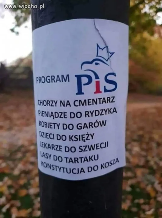W skrócie