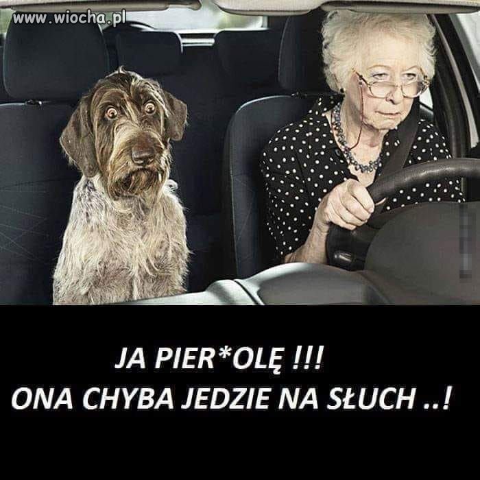 Oszczędzaj nerwy 