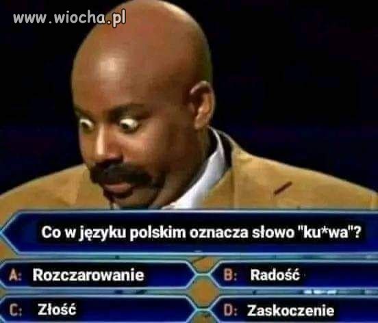 Wszystko