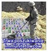 Jakoś dziwnym trafem wszyscy-