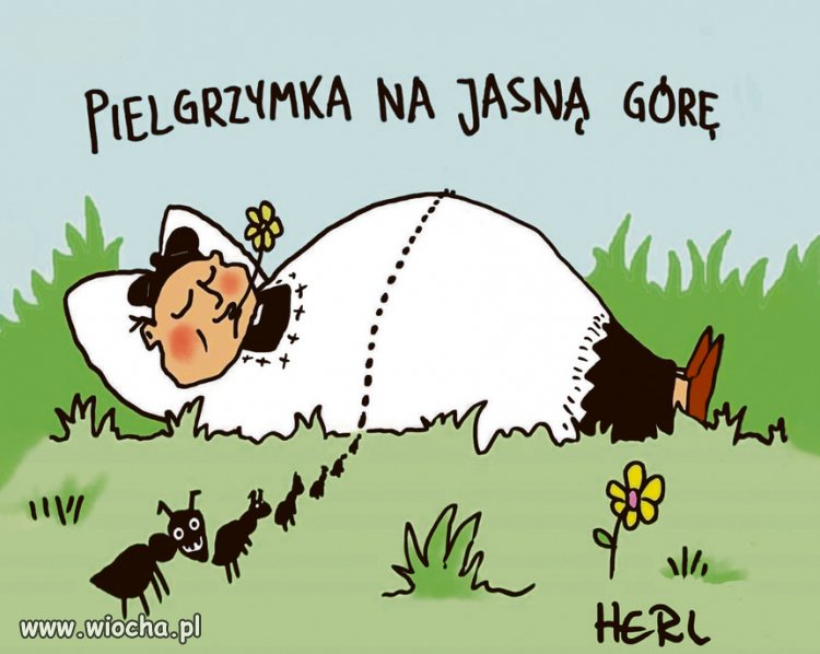 Ludzie nie są tacy głupi jak nam się wydaje. Są znacznie głupsi
