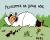 Ludzie nie są tacy głupi jak nam się wydaje. Są znacznie głupsi