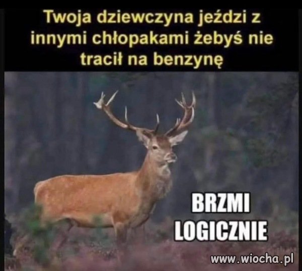 Gdy Karyna dba o Sebę.