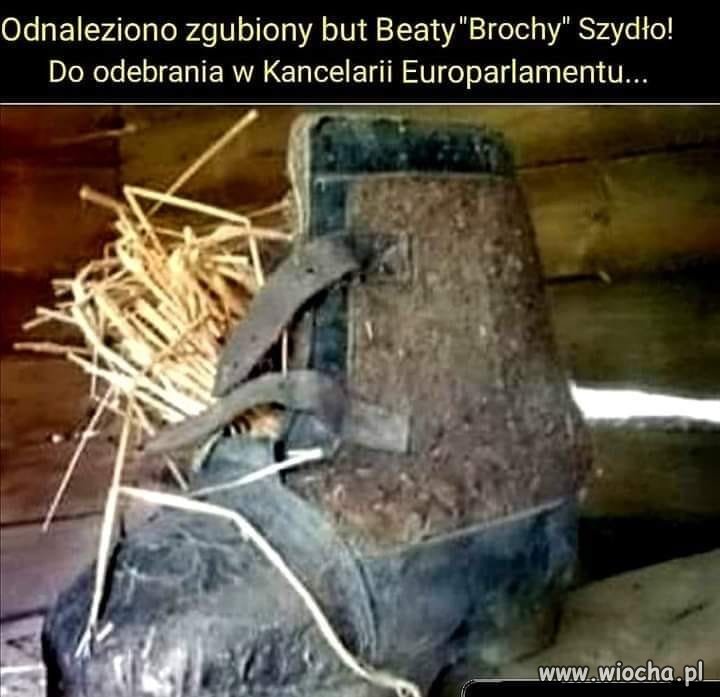 Finał wielodniowych poszukiwań ...