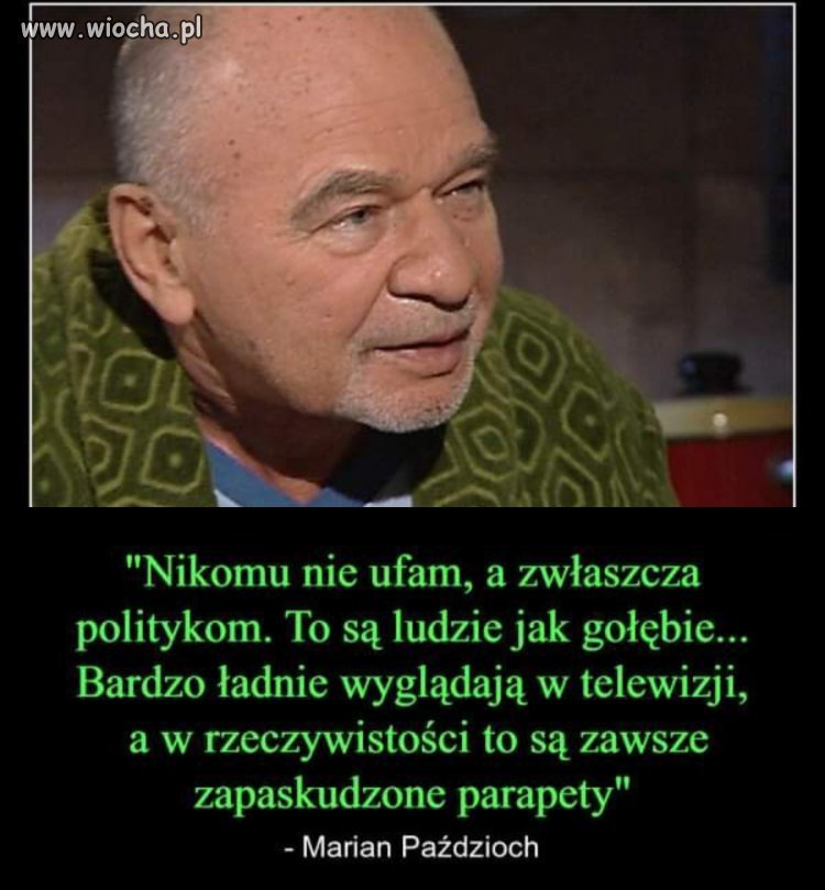 Ja też żadnym nie ufam