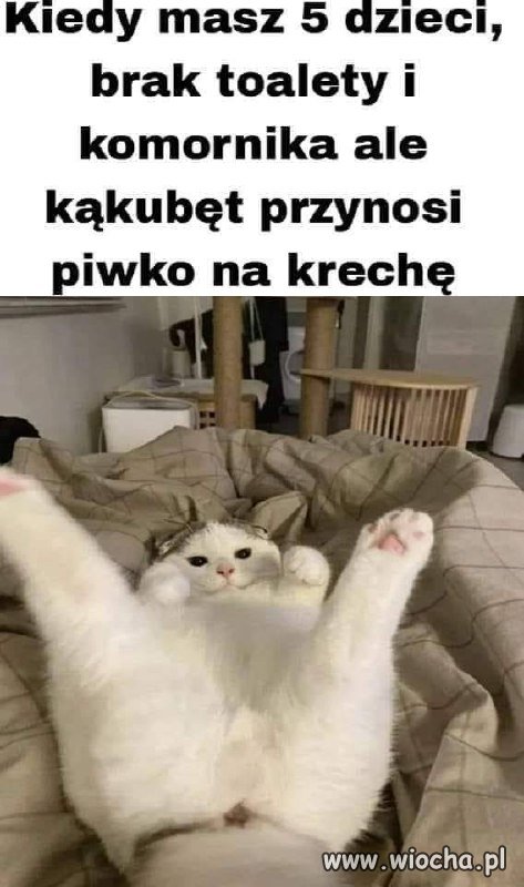 Typowa Karyna 
