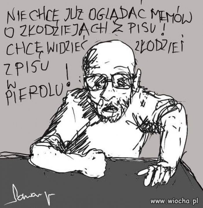 Już dość tego cackania się z tą bandą. PiS down !