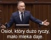 Jakoś tak mi się samo nasunęło
