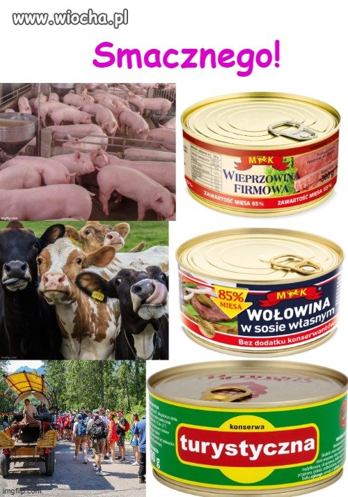 Nie to żart! Turystycznej
