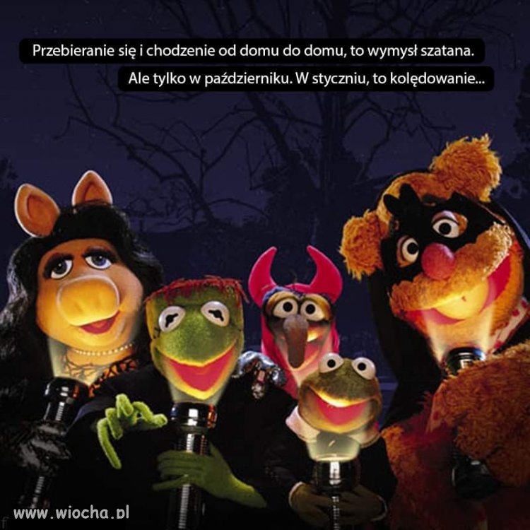 Jehowi też nie lubią