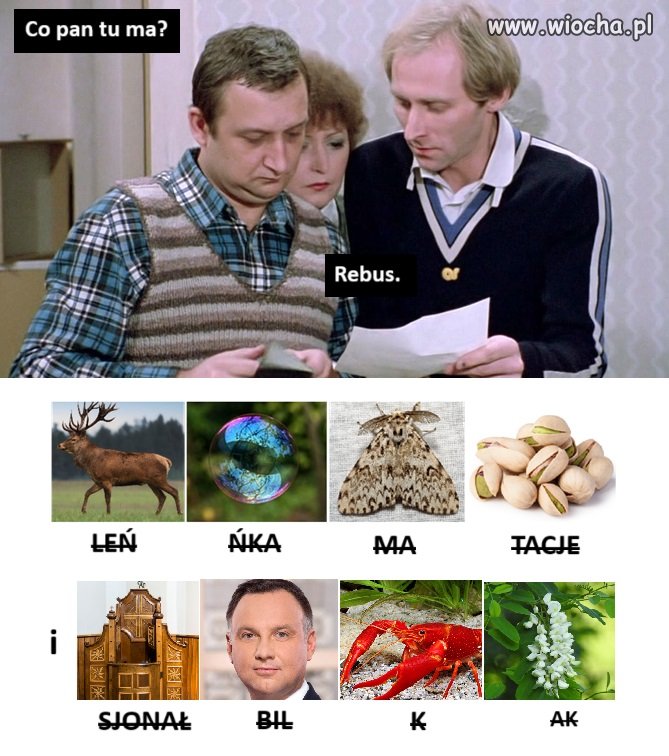 Rebusik