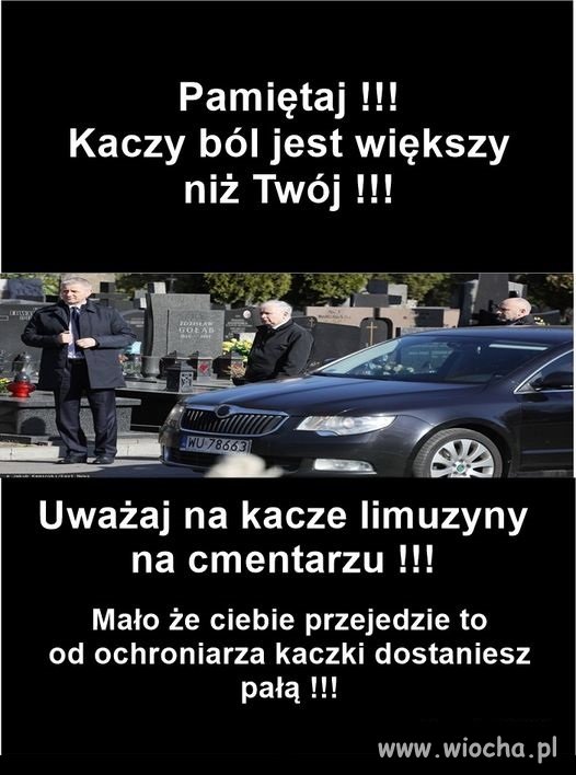 Będziesz jutro na grobach bliskich? To uważaj ...