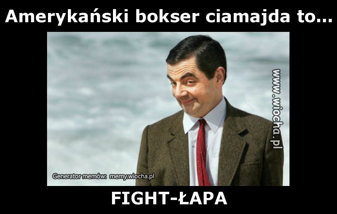 Amerykański bokser ciamajda to...