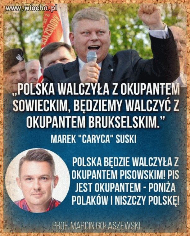 Głupi jak Suski