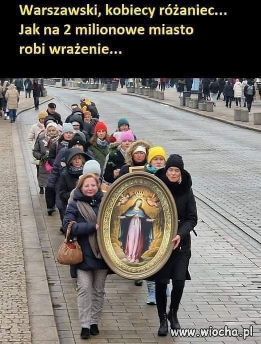 Robi robi