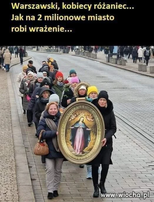 Robi robi