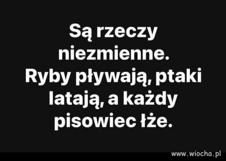 Dokładnie tak !