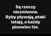 Dokładnie tak !