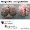 Wyborca piSS i tak zapyta.