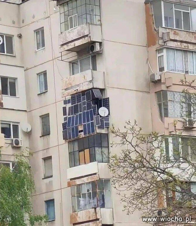 Sąsiad dał się namówić