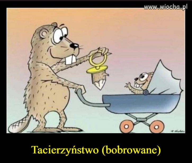 Poprawnie nie 