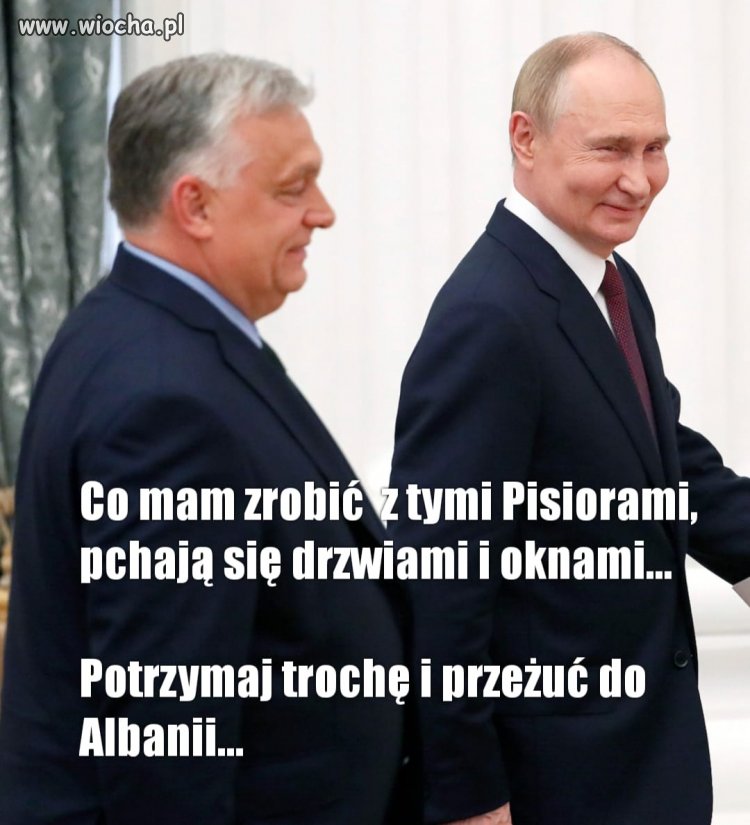 Nikt już nie chce gościć PiSowskich złodziei ...