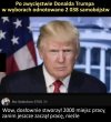 Skuteczny jak mało