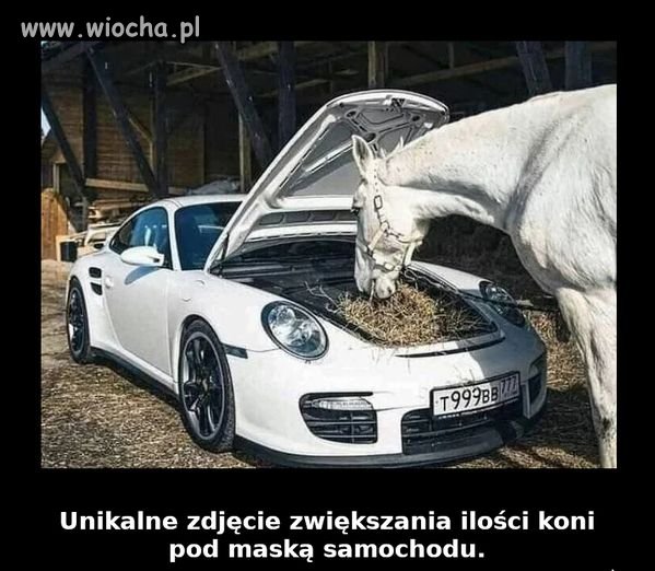 Czym się różni Porsche od Karyny?