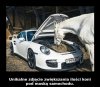 Czym się różni Porsche od Karyny?