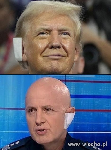 Po tym jak Trump wygrał w USA