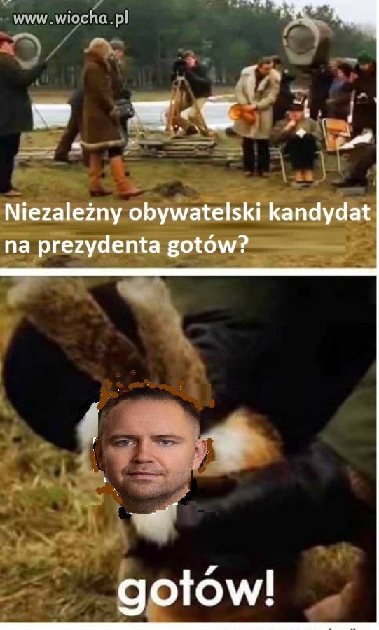 To wypuszczać niech goni w Polskę!