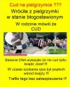 Kolejne "Niepokalane Poczecie" w sekcie kosciola..