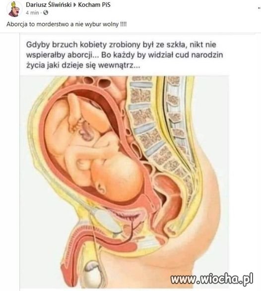 I jak tu go nie kochać ?