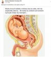 I jak tu go nie kochać ?