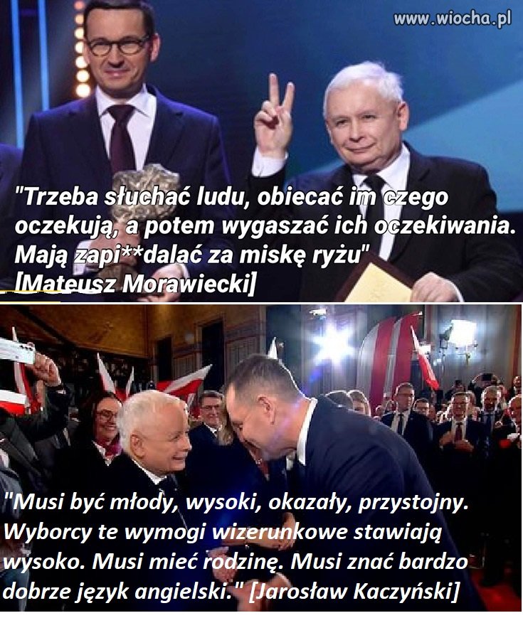 Lud głupi wszystko kupi...
