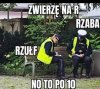 Tak właśnie było 
