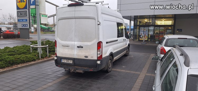 Enea - specjalnej troski Lidl Szarych Szeregów 