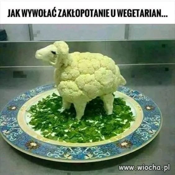 Zjeść, czy nie Zjeść 