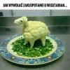 Zjeść, czy nie Zjeść 