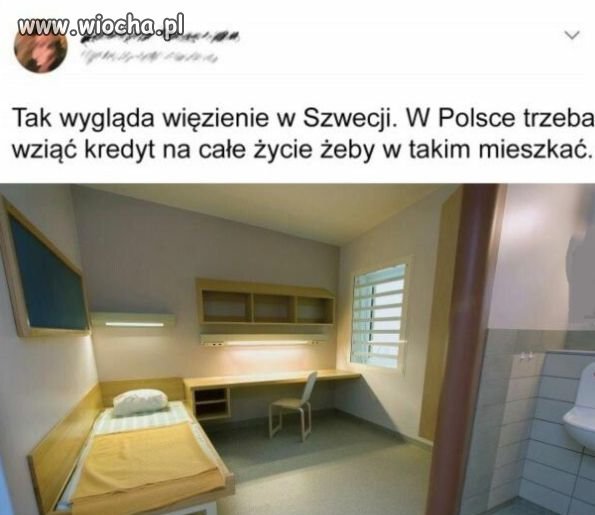 Chyba się wyprowadzę.